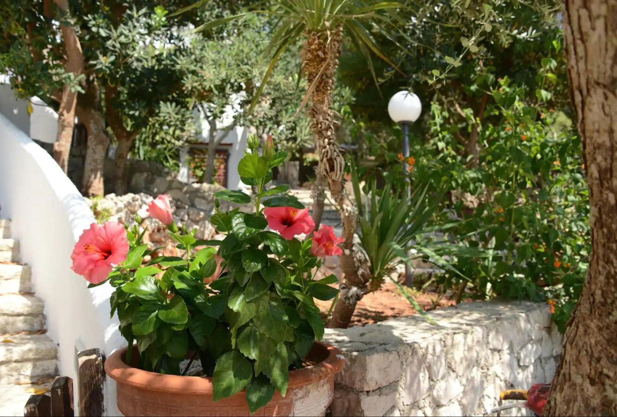 L'Antico Ulivo Villa Santa Cesarea Terme Luaran gambar