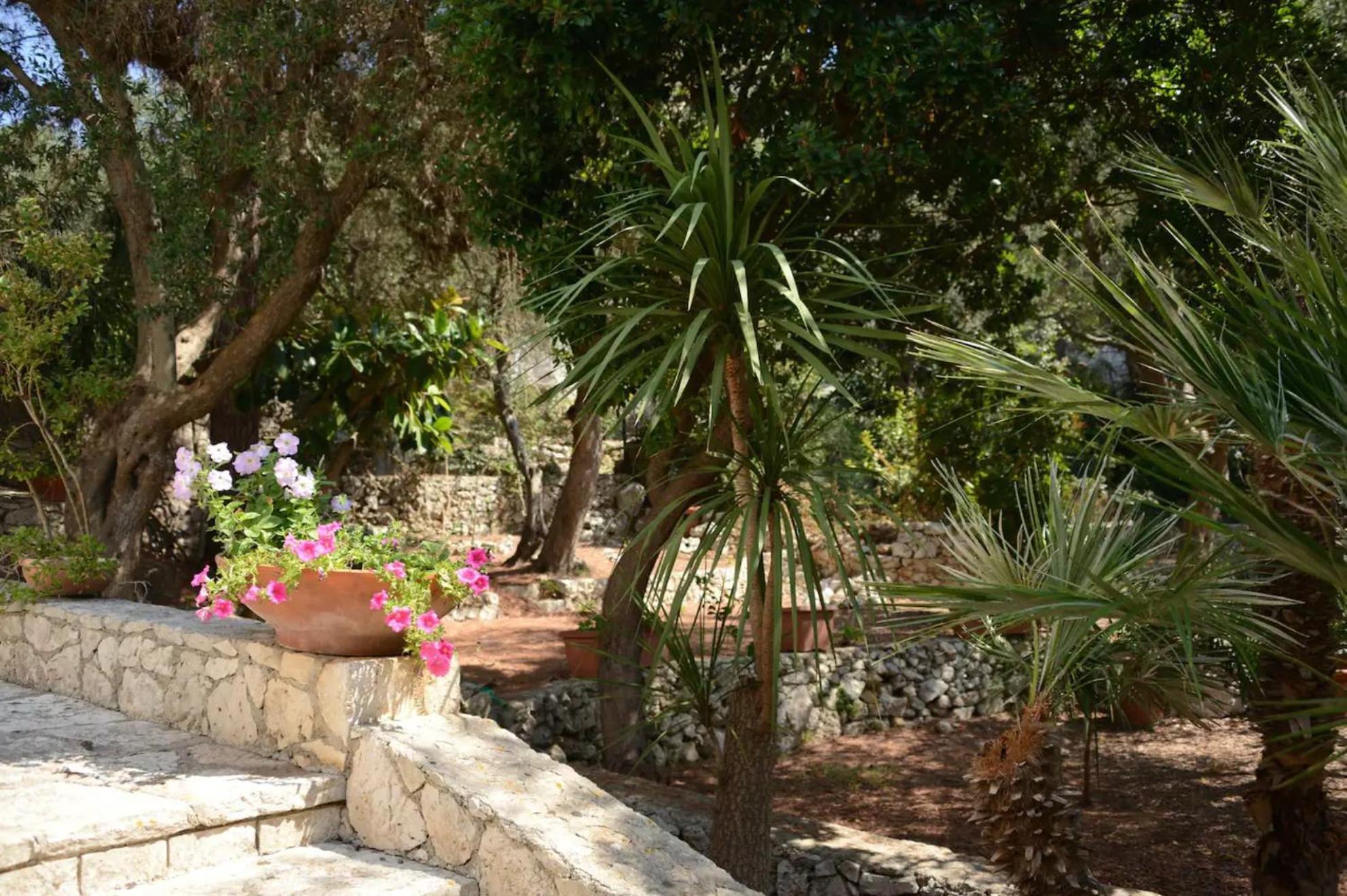 L'Antico Ulivo Villa Santa Cesarea Terme Luaran gambar